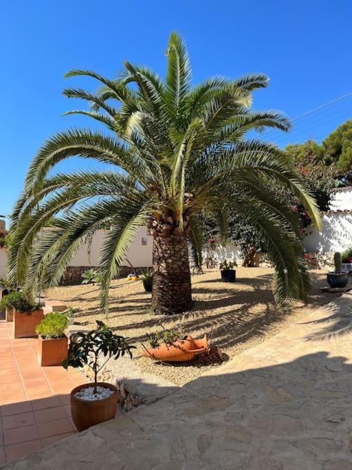 Casa Serenita Charming Villa With Swimming Pool Jávea Zewnętrze zdjęcie